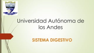 Universidad Autónoma de
los Andes
SISTEMA DIGESTIVO
 