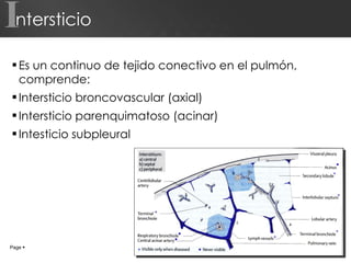 Intersticio Es un continuo de tejido conectivo en el pulmón, comprende: Intersticio broncovascular (axial) Intersticio parenquimatoso (acinar) Intesticio subpleural Page     I 