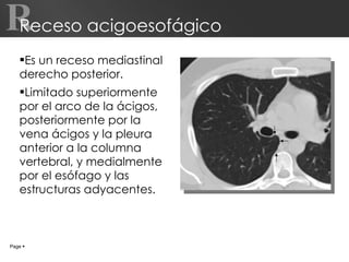 Receso acigoesofágico Es un receso mediastinal derecho posterior. Limitado superiormente por el arco de la ácigos, posteriormente por la vena ácigos y la pleura anterior a la columna vertebral, y medialmente por el esófago y las estructuras adyacentes. Page     R 