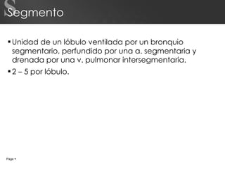 Segmento Unidad de un lóbulo ventilada por un bronquio segmentario, perfundido por una a. segmentaria y drenada por una v. pulmonar intersegmentaria. 2 – 5 por lóbulo. S Page     