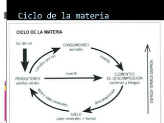 Ciclo de la materia
 