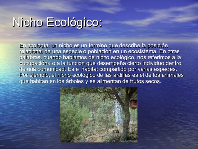 Glosario terminos educacion ambiental