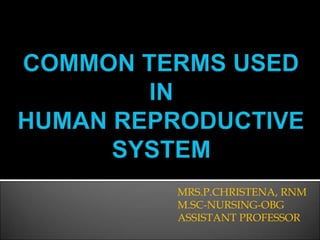 MRS.P.CHRISTENA, RNM
M.SC-NURSING-OBG
ASSISTANT PROFESSOR
 