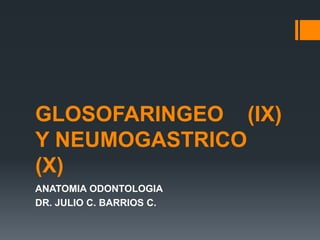 GLOSOFARINGEO (IX)
Y NEUMOGASTRICO
(X)
ANATOMIA ODONTOLOGIA
DR. JULIO C. BARRIOS C.
 