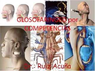 GLOSOFARINGEO por COMPETENCIAS Dr.: Ruiz Acuña 10/09/2011 1 