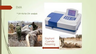 Elephant
Cyanide
Poisoning
 