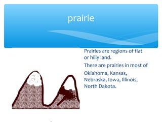 prairie


    Prairies are regions of flat
    or hilly land.
    There are prairies in most of
    Oklahoma, Kansas,
    Nebraska, Iowa, Illinois,
    North Dakota.
 