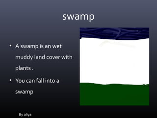 swamp

• A swamp is an wet
  muddy land cover with
  plants .
• You can fall into a
  swamp


   By aliya
 