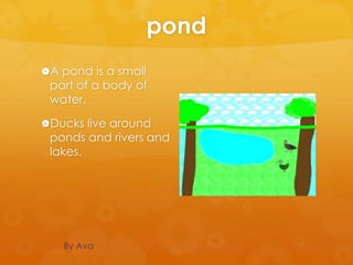 pond
A pond is a small
 part of a body of
 water.

Ducks live around
 ponds and rivers and
 lakes.




   By Ava
 