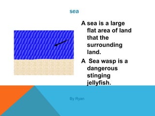sea

      A sea is a large
        flat area of land
        that the
        surrounding
        land.
      A Sea wasp is a
        dangerous
        stinging
        jellyfish.

By Ryan
 