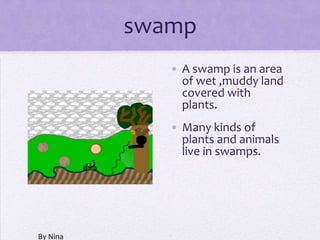 swamp
             • A swamp is an area
               of wet ,muddy land
               covered with
               plants.
             • Many kinds of
               plants and animals
               live in swamps.




By Nina      •
 