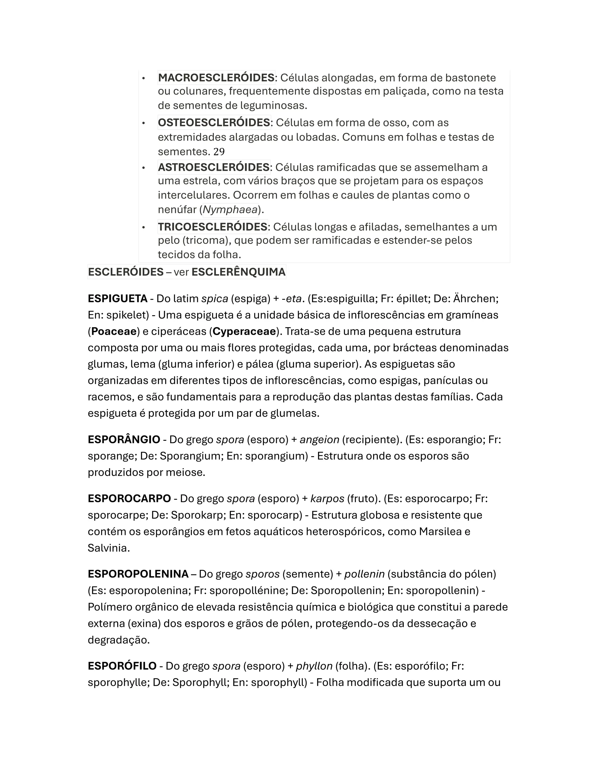 Slide 29