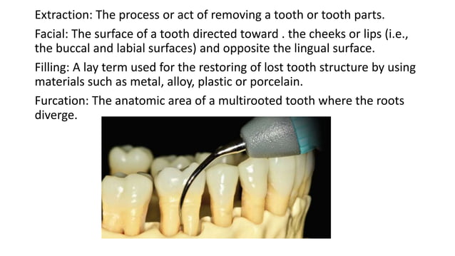 Glossary of Dental Terminology.pptx