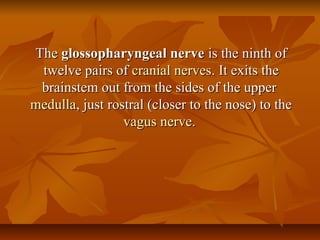 TheThe glossopharyngeal nerveglossopharyngeal nerve is the ninth ofis the ninth of
twelve pairs oftwelve pairs of cranial nervescranial nerves. It exits the. It exits the
brainstem out from the sides of the upperbrainstem out from the sides of the upper
medullamedulla, just rostral (closer to the nose) to the, just rostral (closer to the nose) to the
vagusvagus nervenerve..
 