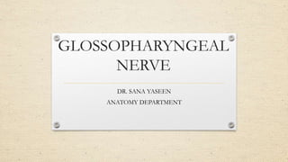 GLOSSOPHARYNGEAL
NERVE
DR. SANA YASEEN
ANATOMY DEPARTMENT
 