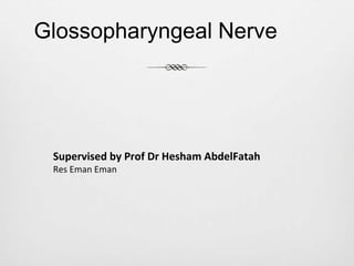 Glossopharyngeal Nerve
Supervised by Prof Dr Hesham AbdelFatah
Res Eman Eman
 
