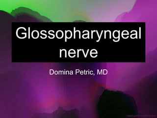 Glossopharyngeal
nerve
Domina Petric, MD
 