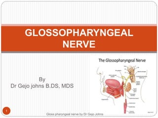 By
Dr Gejo johns B.DS, MDS
GLOSSOPHARYNGEAL
NERVE
Gloss pharyngeal nerve by Dr Gejo Johns
1
 
