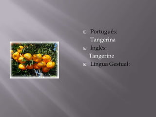    Português:
    Tangerina
   Inglês:
    Tangerine
   Língua Gestual:
 