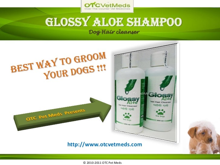 dog grooming shampoo