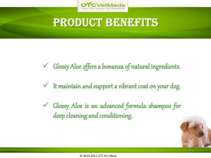 dog grooming shampoo