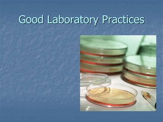 Good Laboratory Practices 
 