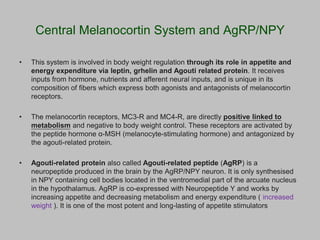 Glp 1 edffect of cardiovascular system | PPTX