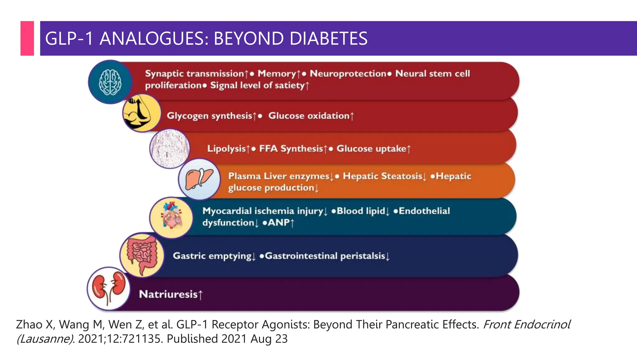 glp 1 ppt GLP1 ANALOGUES- BEYOND DIABETES.pptx