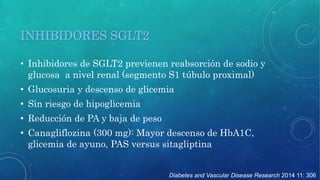 • Inhibidores de SGLT2 previenen reabsorción de sodio y 
glucosa a nivel renal (segmento S1 túbulo proximal) 
• Glucosuria y descenso de glicemia 
• Sin riesgo de hipoglicemia 
• Reducción de PA y baja de peso 
• Canagliflozina (300 mg): Mayor descenso de HbA1C, 
glicemia de ayuno, PAS versus sitagliptina 
Diabetes and Vascular Disease Research 2014 11: 306 
INHIBIDORES SGLT2 
 