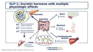 GLP1 Role : DM type 2 | PPTX GLP1 Role : DM type 2 | PPTX