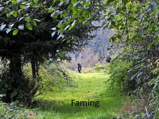 Glr photo composition