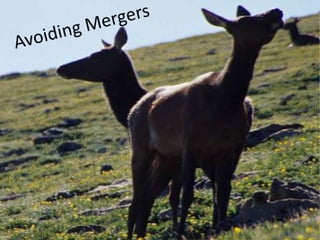 Glr photo composition