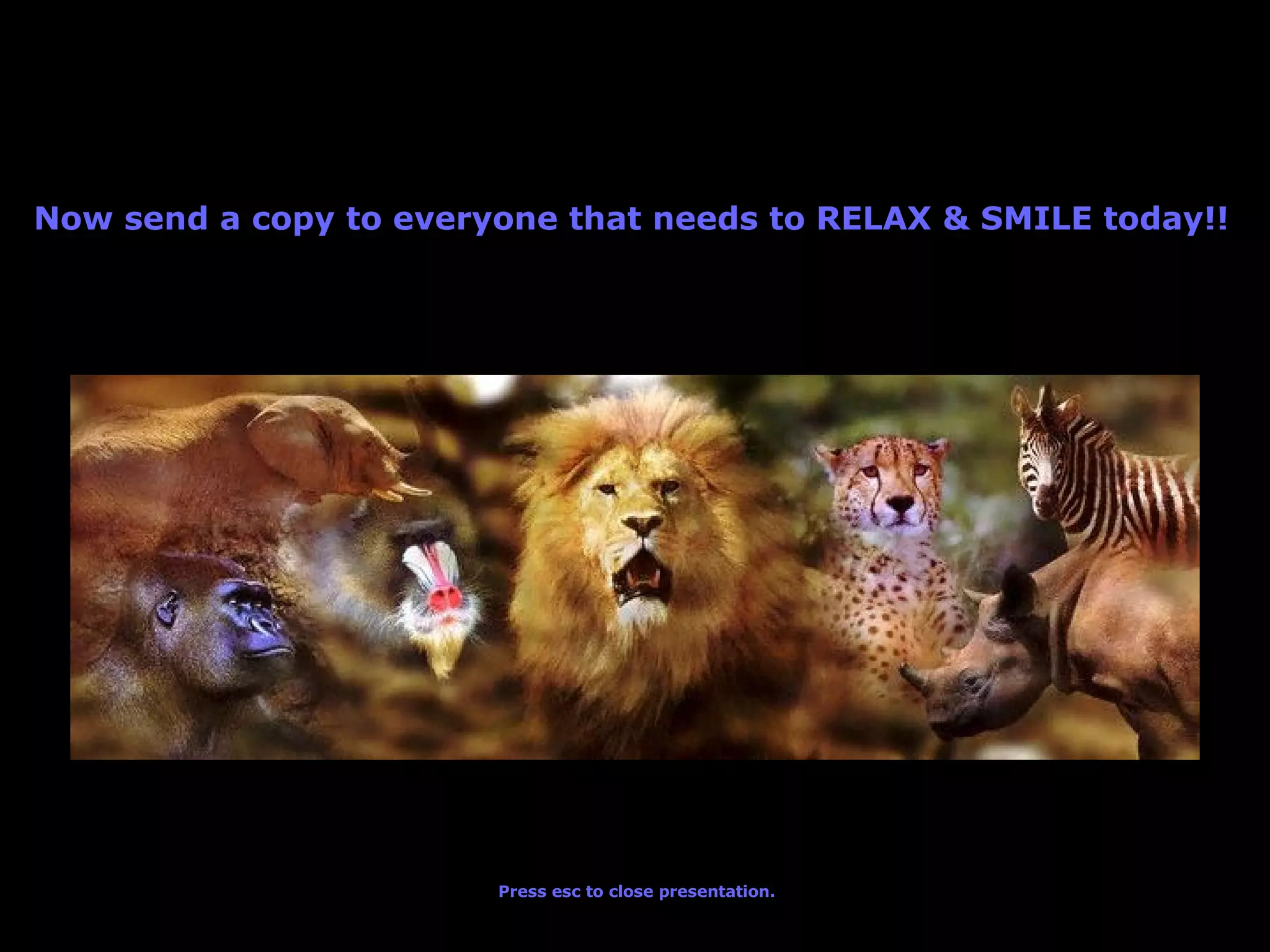 Now send a copy to everyone that needs to RELAX & SMILE today!! Press esc to close presentation.