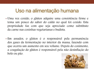 Uso na alimentação humana
• Uma vez cozido, o glúten adquire uma consistência firme e
toma um pouco do sabor do caldo no qual foi cozido. Esta
propriedade faz com que seja apreciado como substituto
da carne nas cozinhas vegetarianas e budista.
• Em assados, o glúten é o responsável pela permanência
dos gases da fermentação no interior da massa, fazendo com
que ocorra um aumento em seu volume. Depois do cozimento,
a coagulação do glúten é responsável pela não desinflação do
bolo ou pão.
 