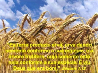 “Ea terra produziu erva, erva dando
semente conforme a sua espécie, e a
árvore frutífera, cuja semente está
nela conforme a sua espécie. E viu
Deus que era bom.” Gênesis 1:12
 