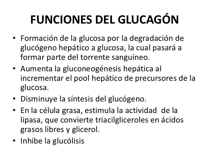 Glucagón Glucagón