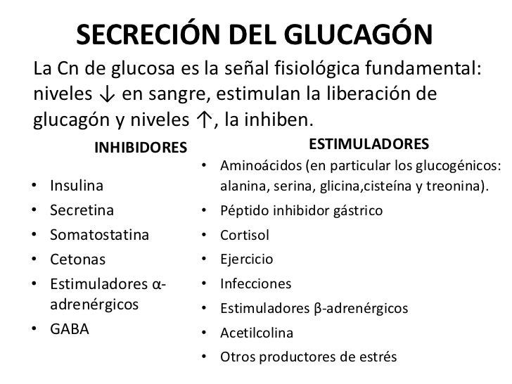 Glucagón Glucagón