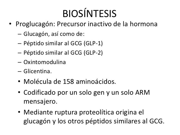 Glucagón Glucagón