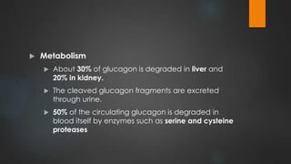  Metabolism
 About 30% of glucagon is degraded in liver and
20% in kidney.
 The cleaved glucagon fragments are excreted
through urine.
 50% of the circulating glucagon is degraded in
blood itself by enzymes such as serine and cysteine
proteases
 