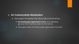  On Carbohydrate Metabolism
 Glucagon increases the blood glucose level by:
 Increasing glycogenolysis in liver and releasing
glucose from the liver cells into the blood.
 Glucagon does not induce glycogenolysis in muscle
 