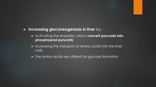  Increasing gluconeogenesis in liver by:
 Activating the enzymes, which convert pyruvate into
phosphoenol pyruvate
 Increasing the transport of amino acids into the liver
cells.
 The amino acids are utilized for glucose formation
 