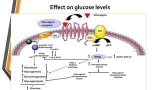 Effect on glucose levels
 
