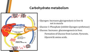 Carbohydrate metabolism
 Glycogen: Increases glycogenolysis in liver &
not in muscle
 Glucose-1-Phosphate (inhibit Glycogen synthetase)
 Glucose: Increases gluconeogenesis in liver.
Formation of Glucose from Lactate, Pyruvate,
Glycerol & amino acids.
 