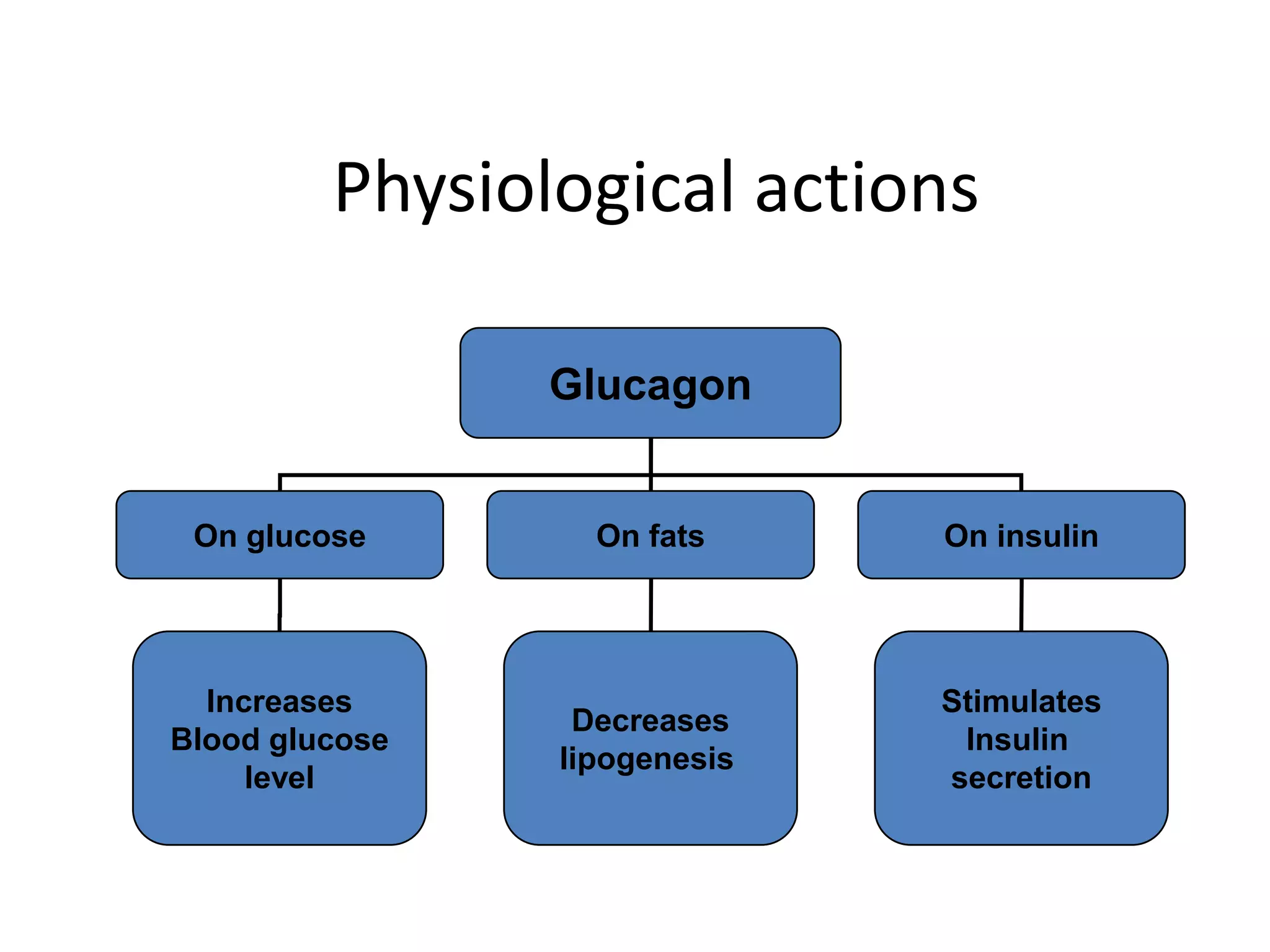 Physiological actions

                Glucagon


 On glucose       On fats     On insulin




  Increases                   Stimulates
                 Decreases
Blood glucose                  Insulin
                lipogenesis
     level                    secretion
 