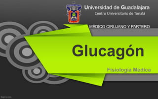 Fisiología Médica
Universidad de Guadalajara
Centro Universitario de Tonalá
MÉDICO CIRUJANO Y PARTERO
Glucagón
 