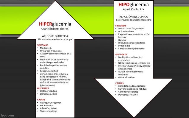Glucagón Fisiología Medica Glucagón Fisiología Medica