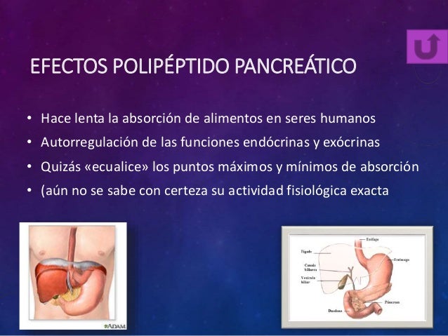 Glucagon, somatostatina y polipepeptico pancreatico Glucagon, somatostatina y polipepeptico pancreatico