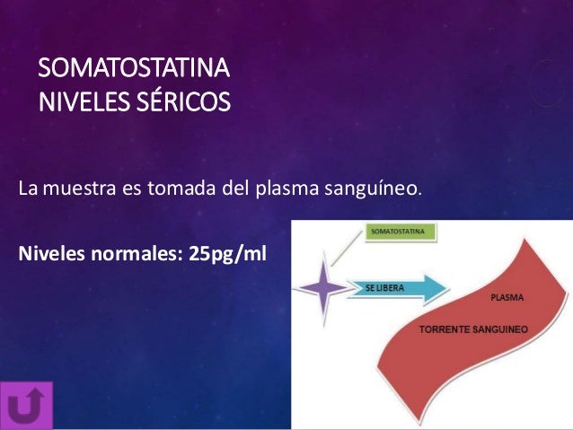 Glucagon, somatostatina y polipepeptico pancreatico Glucagon, somatostatina y polipepeptico pancreatico