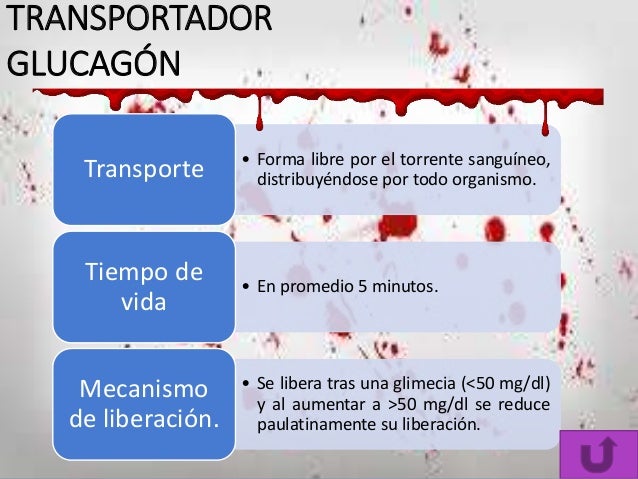 Glucagon, somatostatina y polipepeptico pancreatico Glucagon, somatostatina y polipepeptico pancreatico