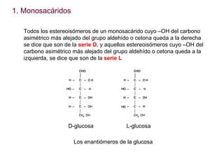 <ul><li>Monosacáridos </li></ul>Todos los estereoisómeros de un monosacárido cuyo –OH del carbono asimétrico más alejado d...